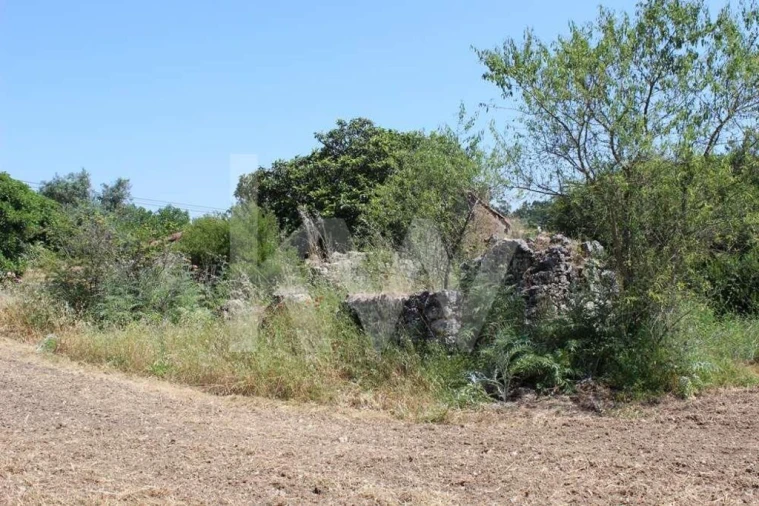 Terreno para Venda em Casais e Alviobeira Foto 13