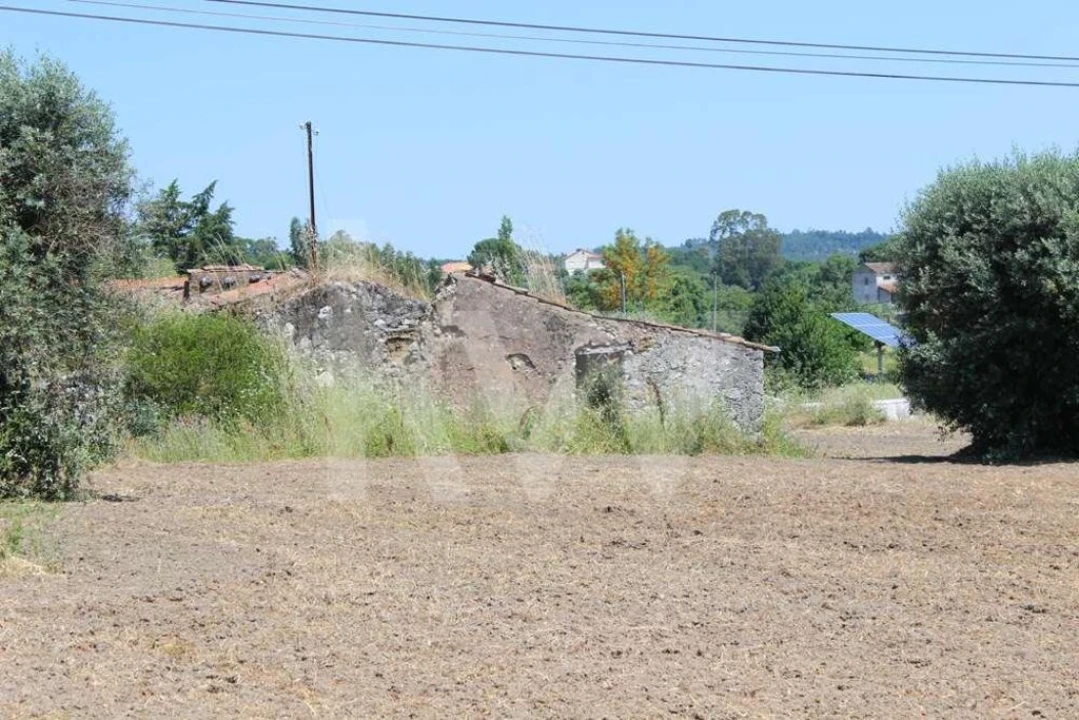 Terreno para Venda em Casais e Alviobeira Foto 7