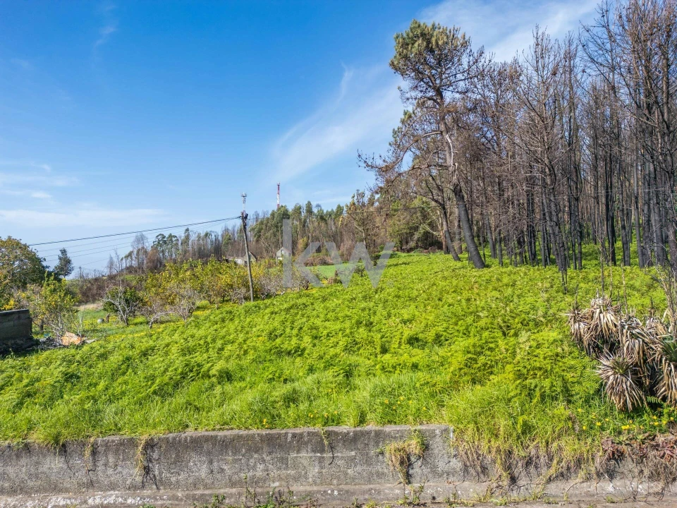 Terreno para Venda em Fajã da Ovelha Foto 47