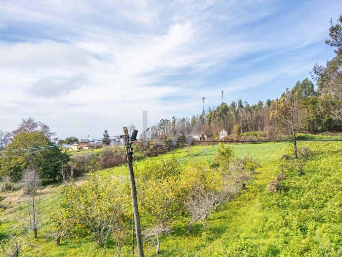 Terreno para Venda em Fajã da Ovelha Foto 40