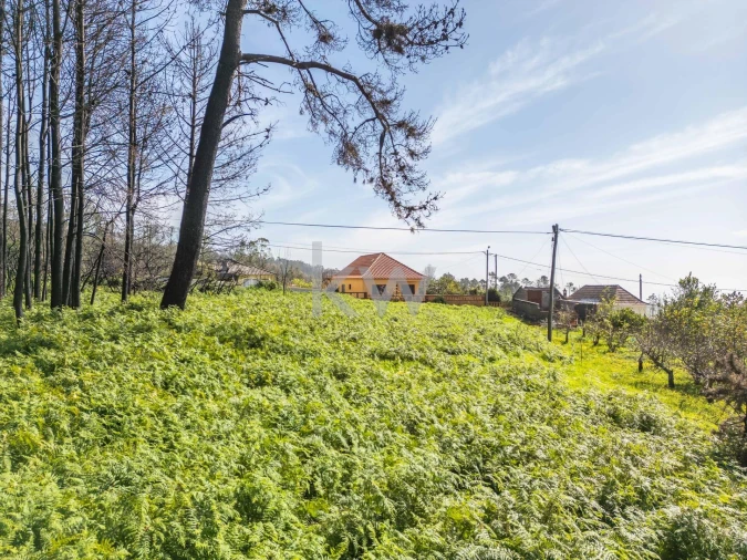Terreno para Venda em Fajã da Ovelha Foto 48