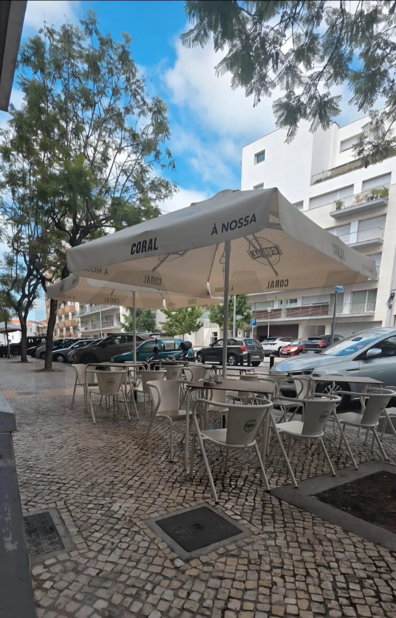 Loja para Trespasse em Santo Antonio dos Olivais Foto 1