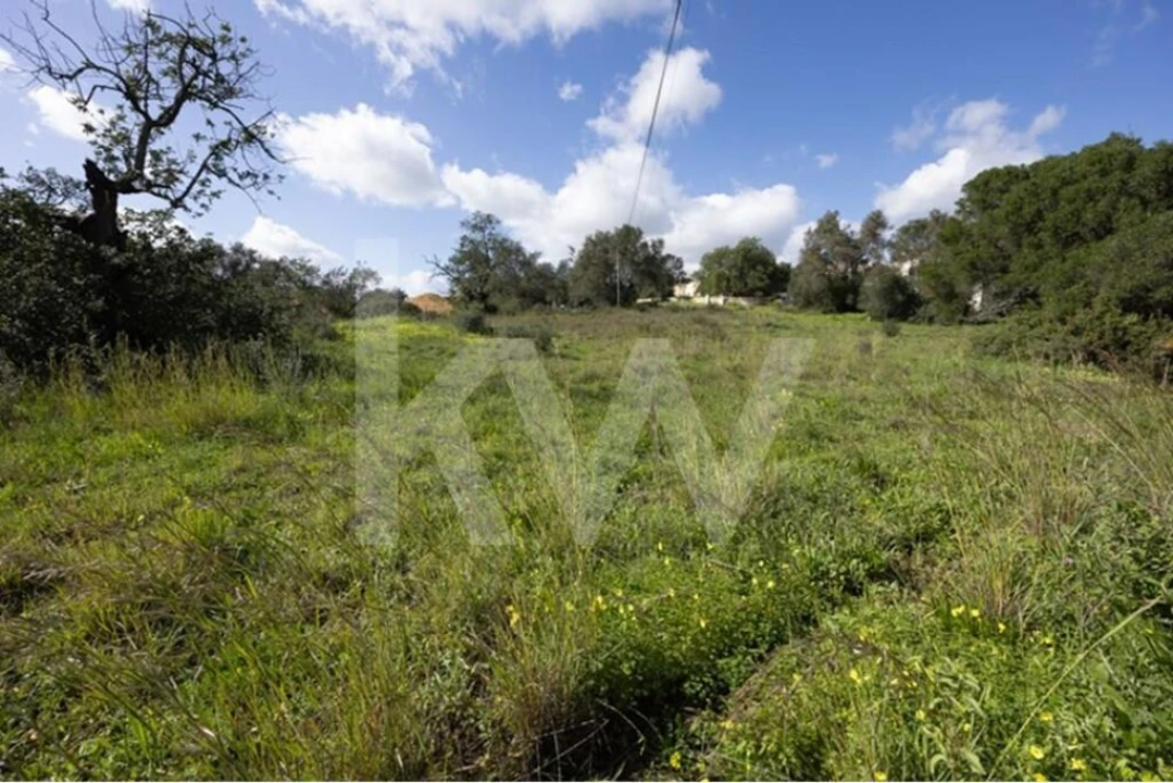Terreno para Venda em Almancil Foto 18