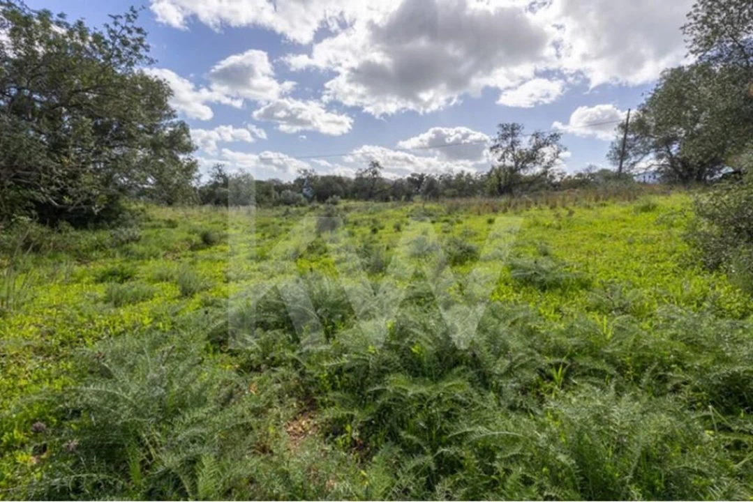 Terreno para Venda em Almancil Foto 27