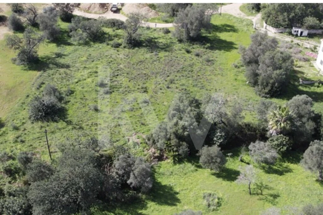 Terreno para Venda em Almancil Foto 21