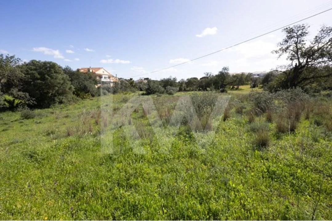 Terreno para Venda em Almancil Foto 12