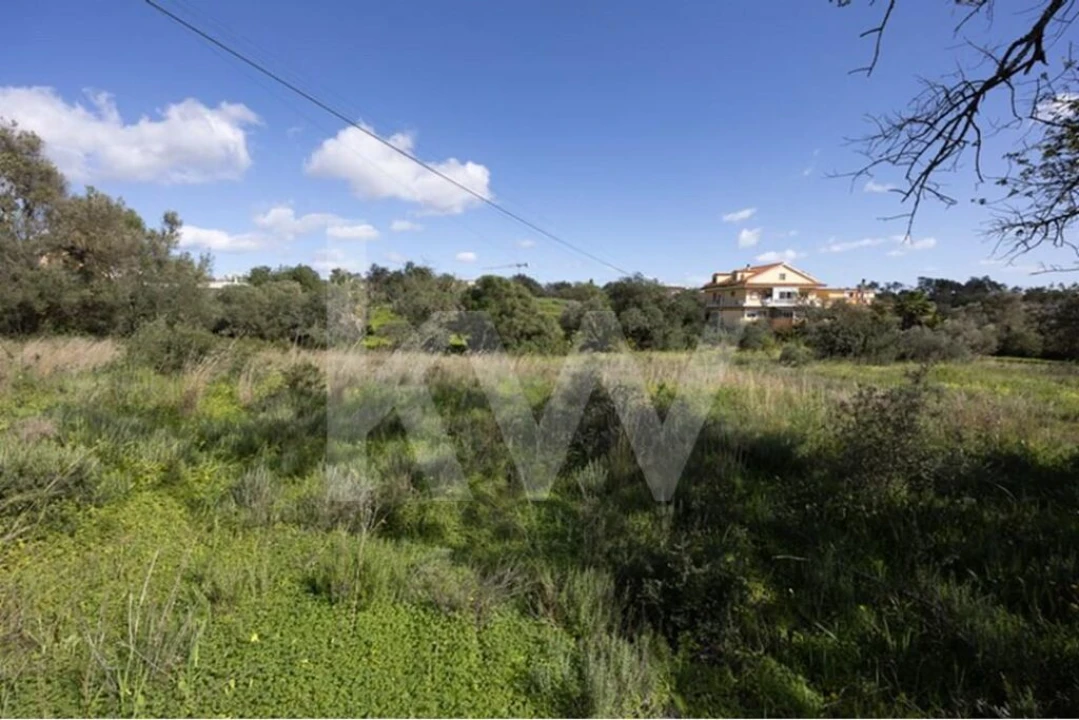 Terreno para Venda em Almancil Foto 17