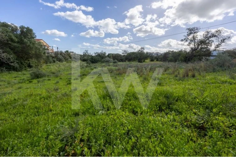 Terreno para Venda em Almancil Foto 13