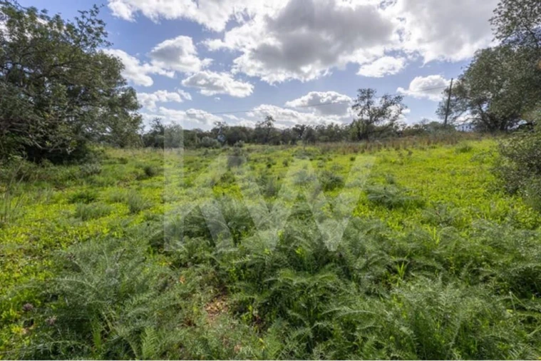 Terreno para Venda em Almancil Foto 27