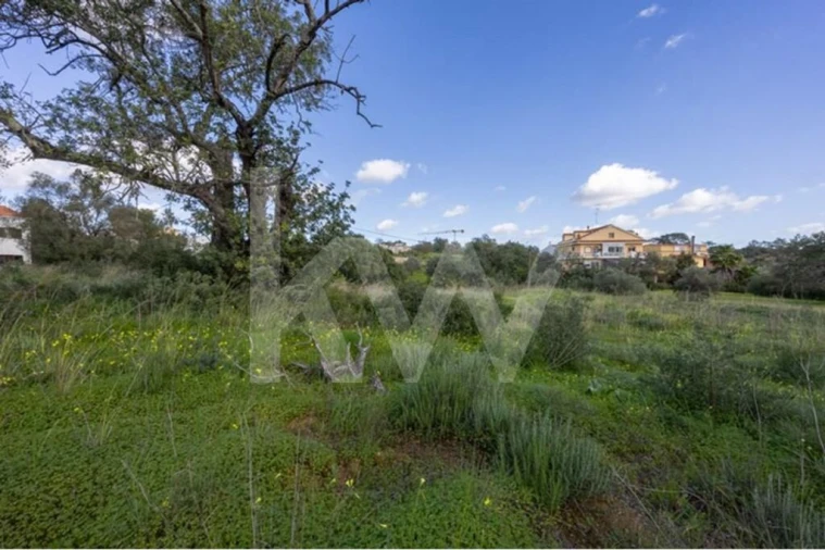 Terreno para Venda em Almancil Foto 23