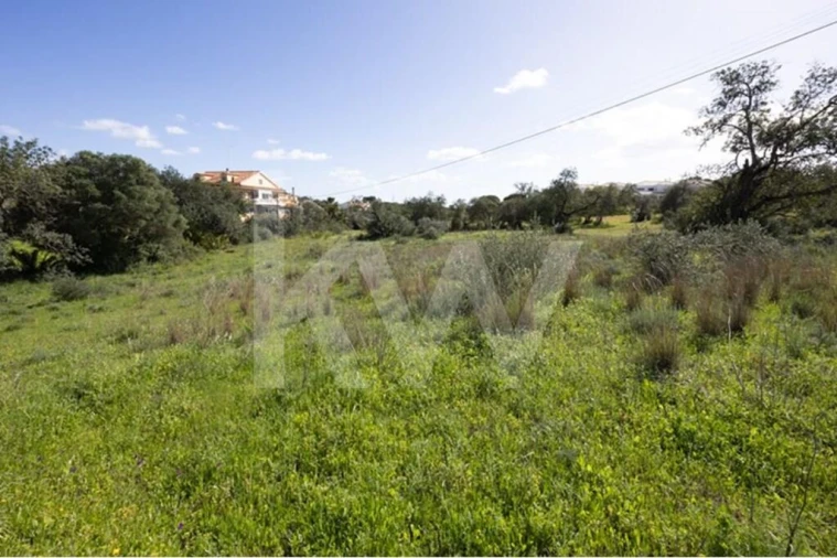 Terreno para Venda em Almancil Foto 12