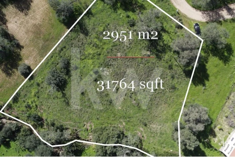 Terreno para Venda em Almancil Foto 14