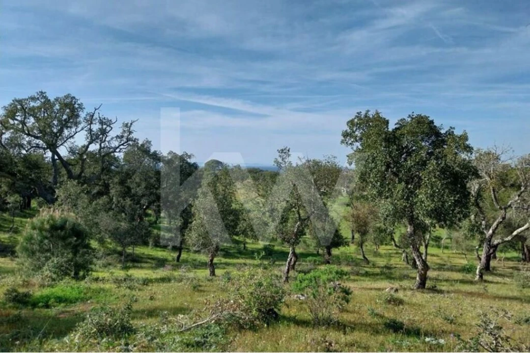 Terreno para Venda em Melides Foto 7