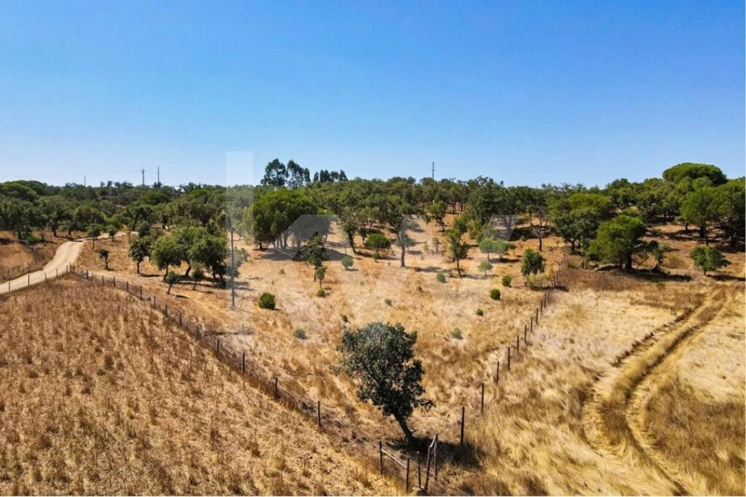 Terreno para Venda em Melides Foto 6