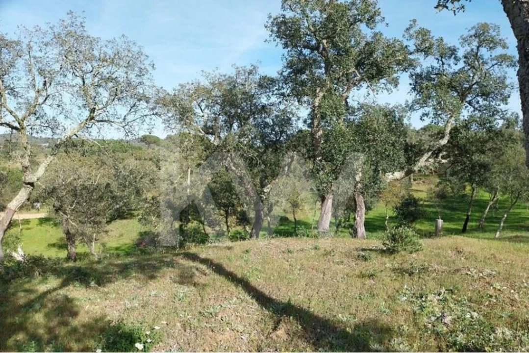 Terreno para Venda em Melides Foto 10