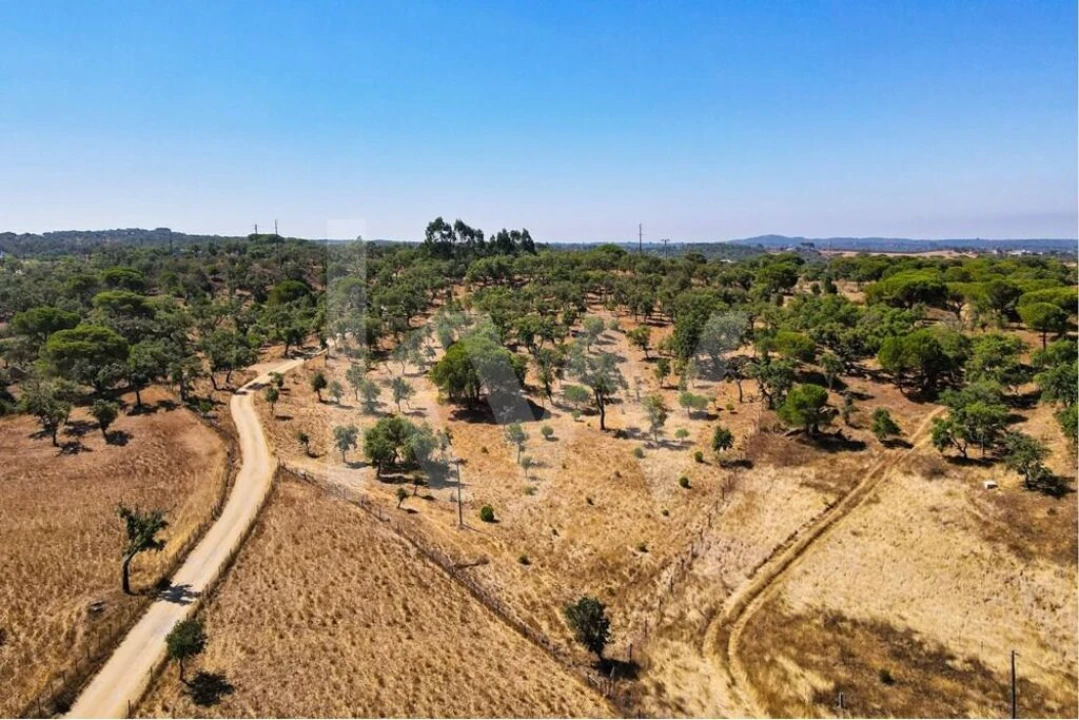 Terreno para Venda em Melides Foto 4