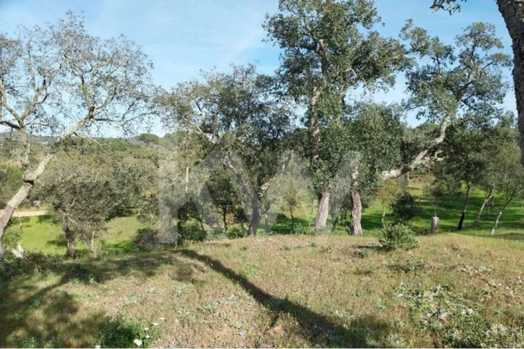 Terreno para Venda em Melides Foto 10