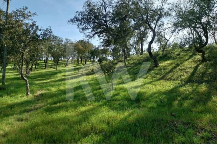 Terreno para Venda em Melides Foto 8