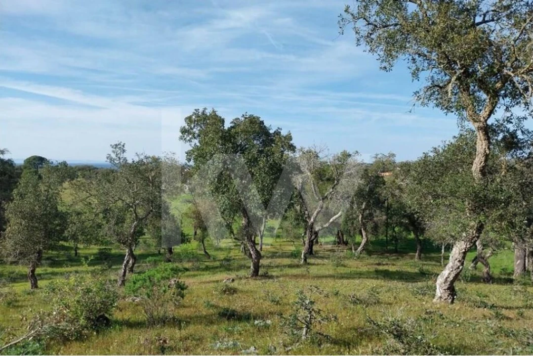 Terreno para Venda em Melides Foto 5