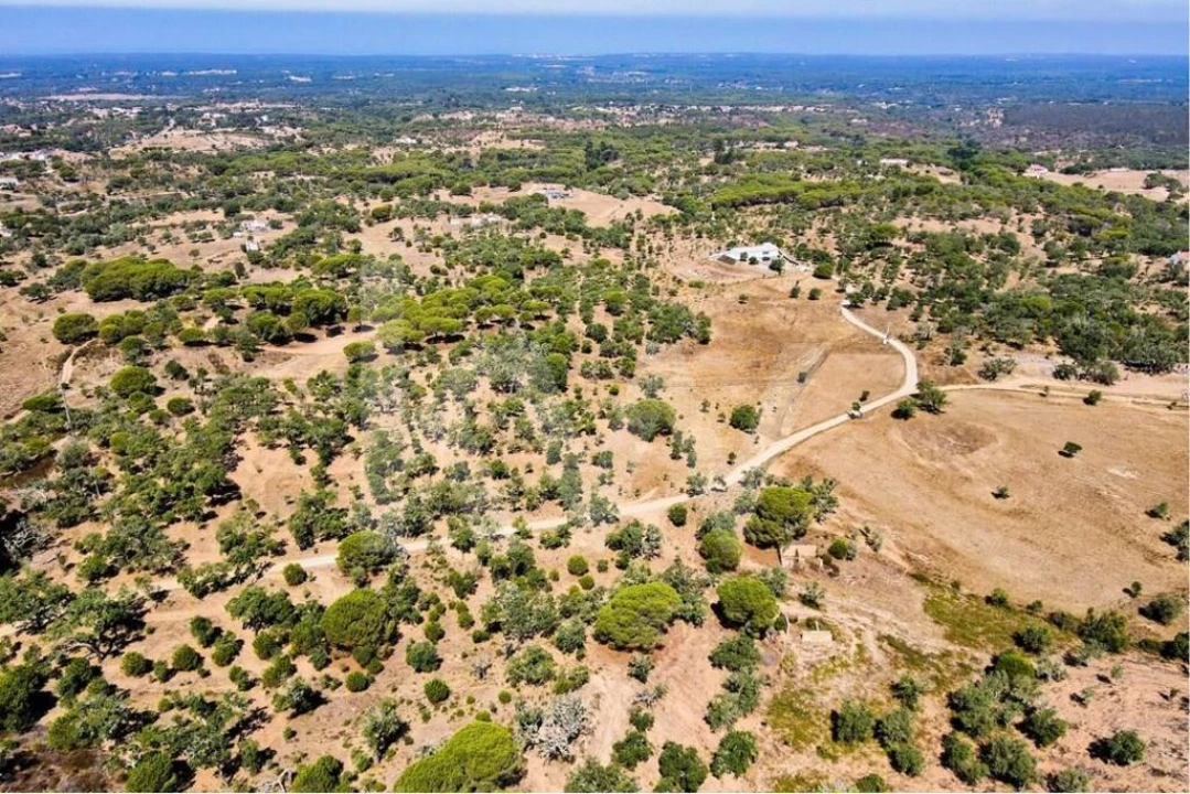 Terreno para Venda em Melides Foto 9