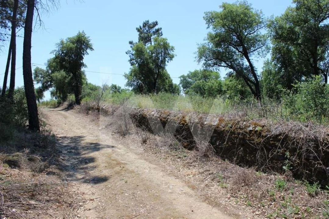 Terreno para Venda em São João Baptista e Santa Maria dos Olivais Foto 16