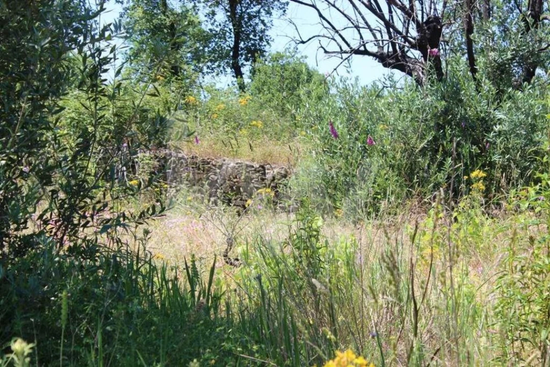 Terreno para Venda em São João Baptista e Santa Maria dos Olivais Foto 29