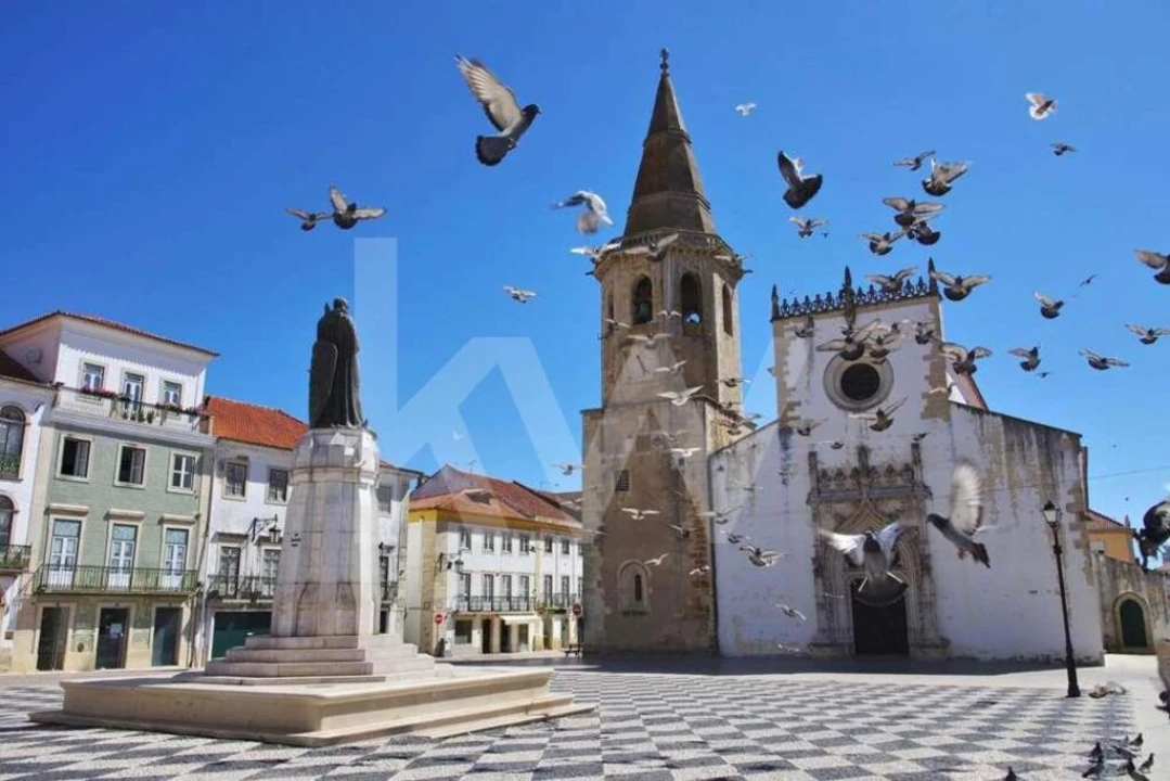 Terreno para Venda em São João Baptista e Santa Maria dos Olivais Foto 1