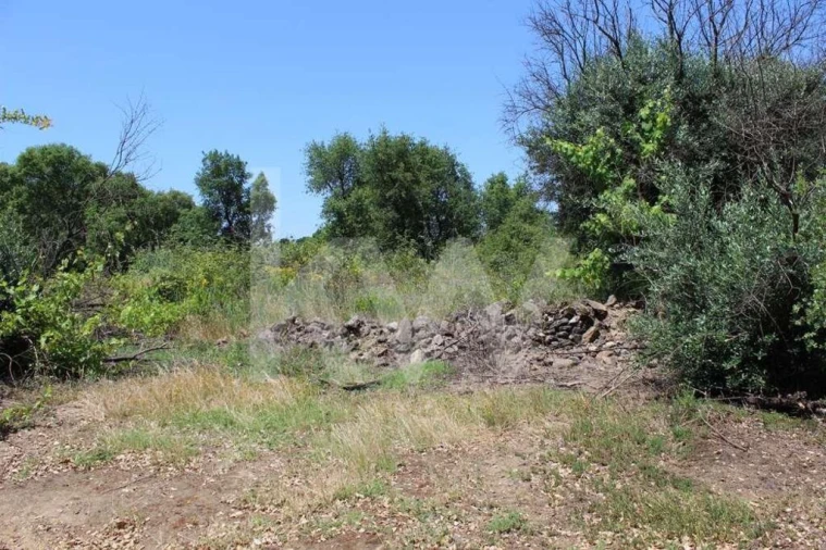Terreno para Venda em São João Baptista e Santa Maria dos Olivais Foto 30