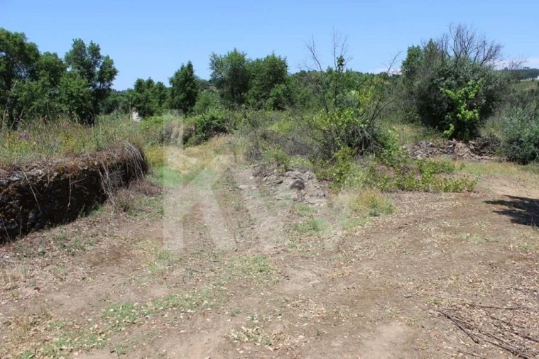 Terreno para Venda em São João Baptista e Santa Maria dos Olivais Foto 13
