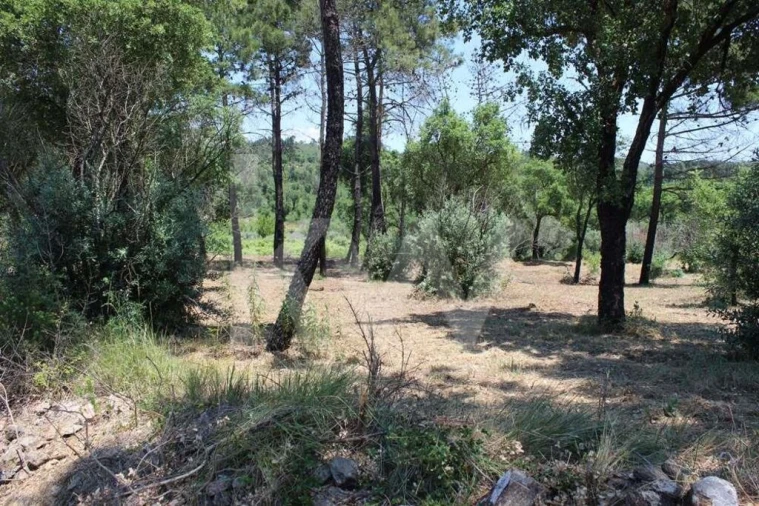 Terreno para Venda em São João Baptista e Santa Maria dos Olivais Foto 9
