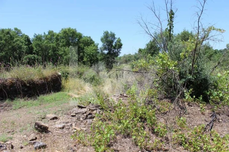 Terreno para Venda em São João Baptista e Santa Maria dos Olivais Foto 17