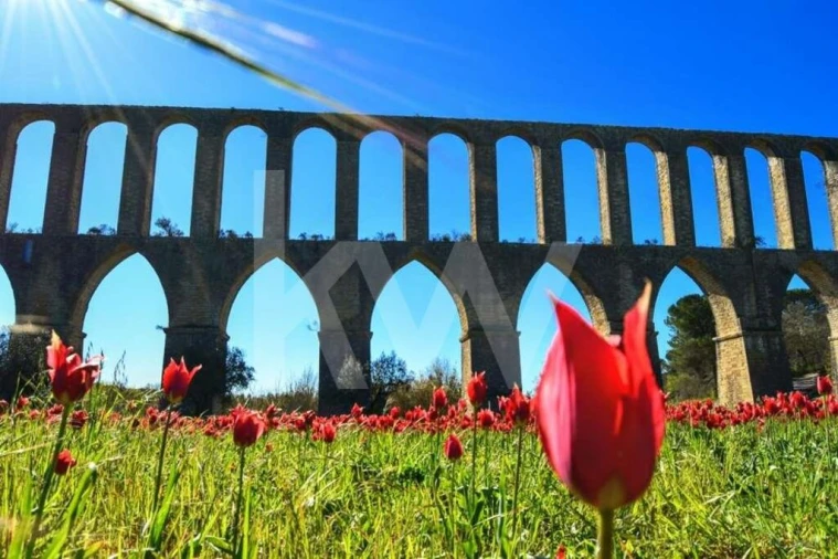 Terreno para Venda em São João Baptista e Santa Maria dos Olivais Foto 2