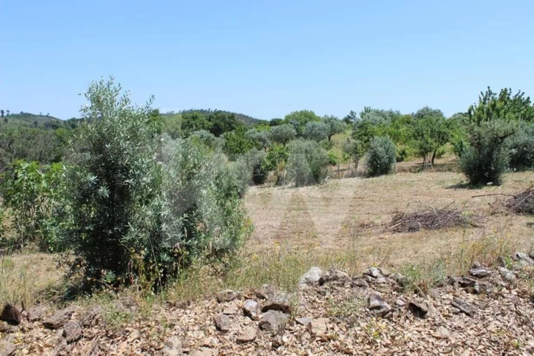 Terreno para Venda em São João Baptista e Santa Maria dos Olivais Foto 6