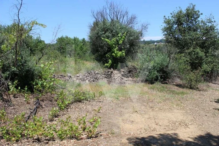 Terreno para Venda em São João Baptista e Santa Maria dos Olivais Foto 18