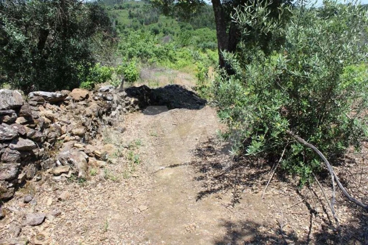 Terreno para Venda em São João Baptista e Santa Maria dos Olivais Foto 23