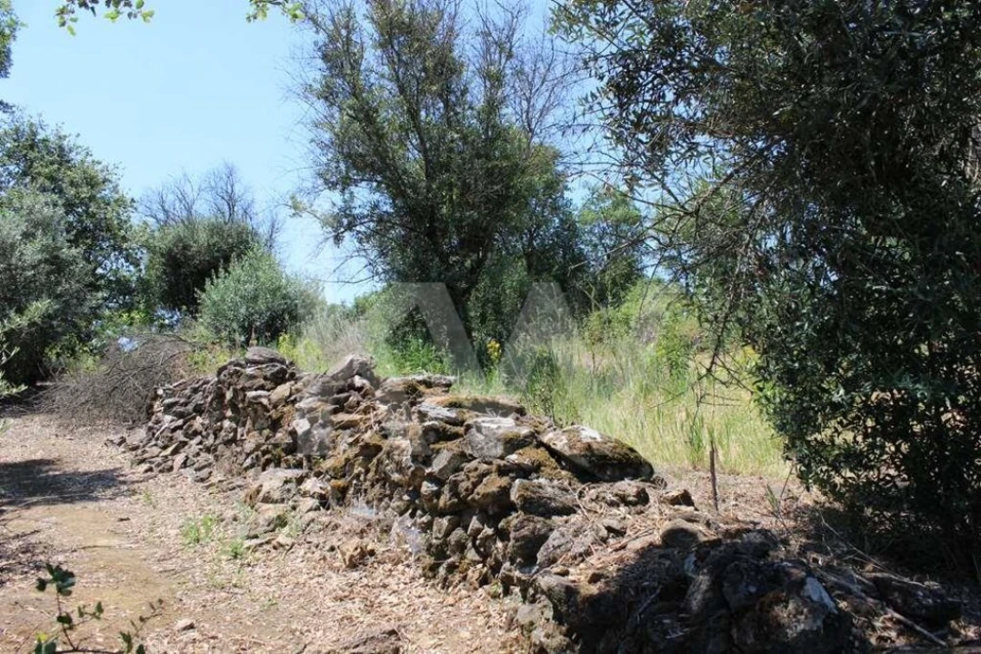 Terreno para Venda em São João Baptista e Santa Maria dos Olivais Foto 28