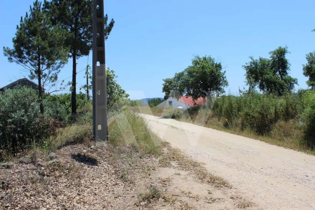 Terreno para Venda em São João Baptista e Santa Maria dos Olivais Foto 5