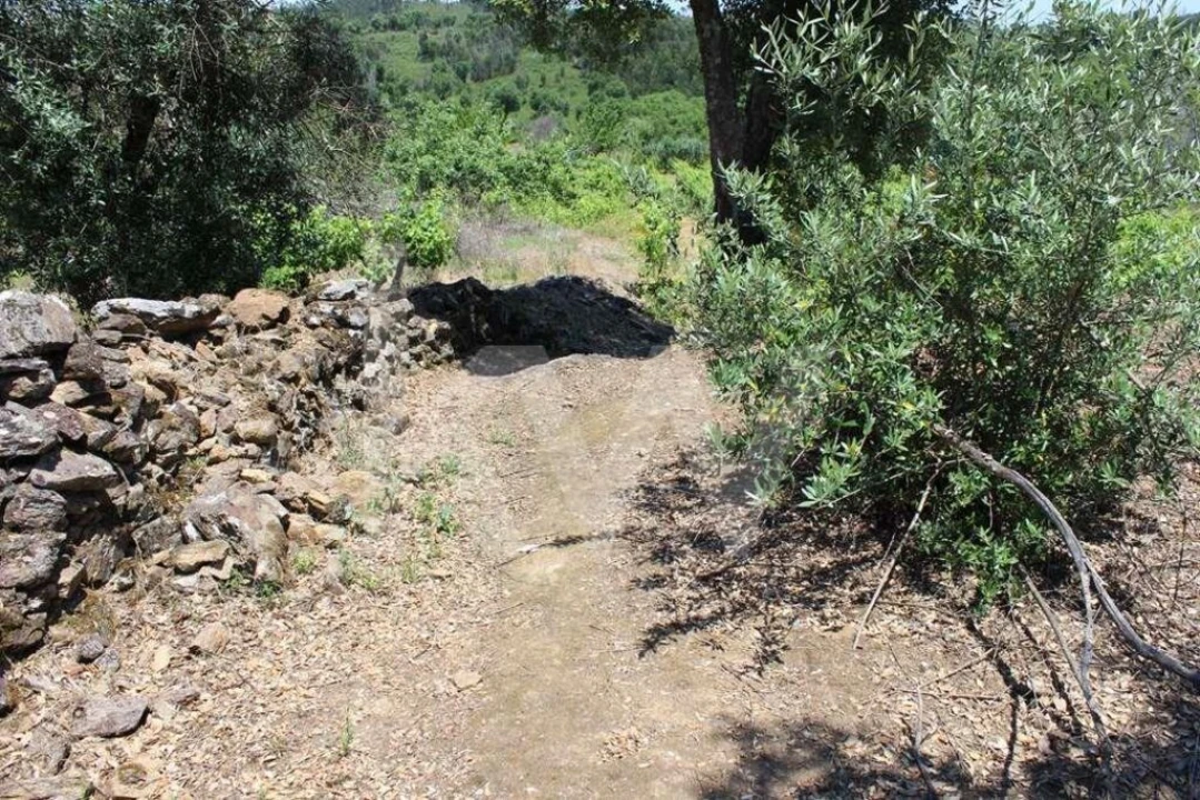 Terreno para Venda em São João Baptista e Santa Maria dos Olivais Foto 23