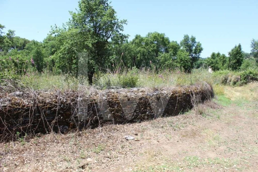 Terreno para Venda em São João Baptista e Santa Maria dos Olivais Foto 15