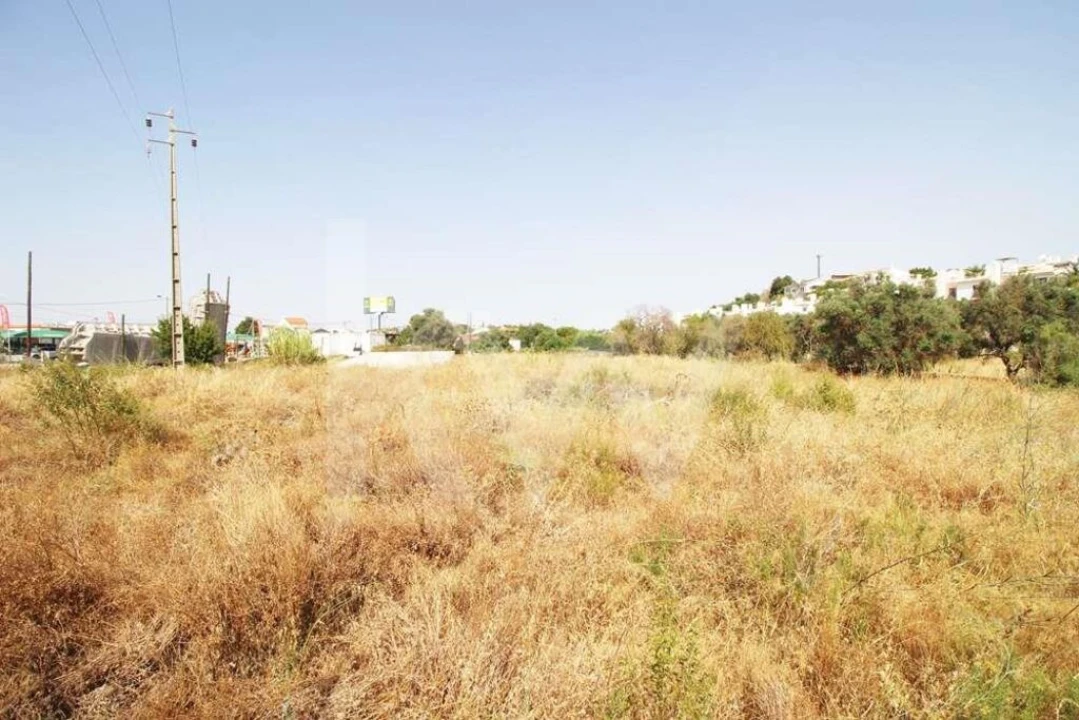 Terreno para Venda em Guia Foto 16