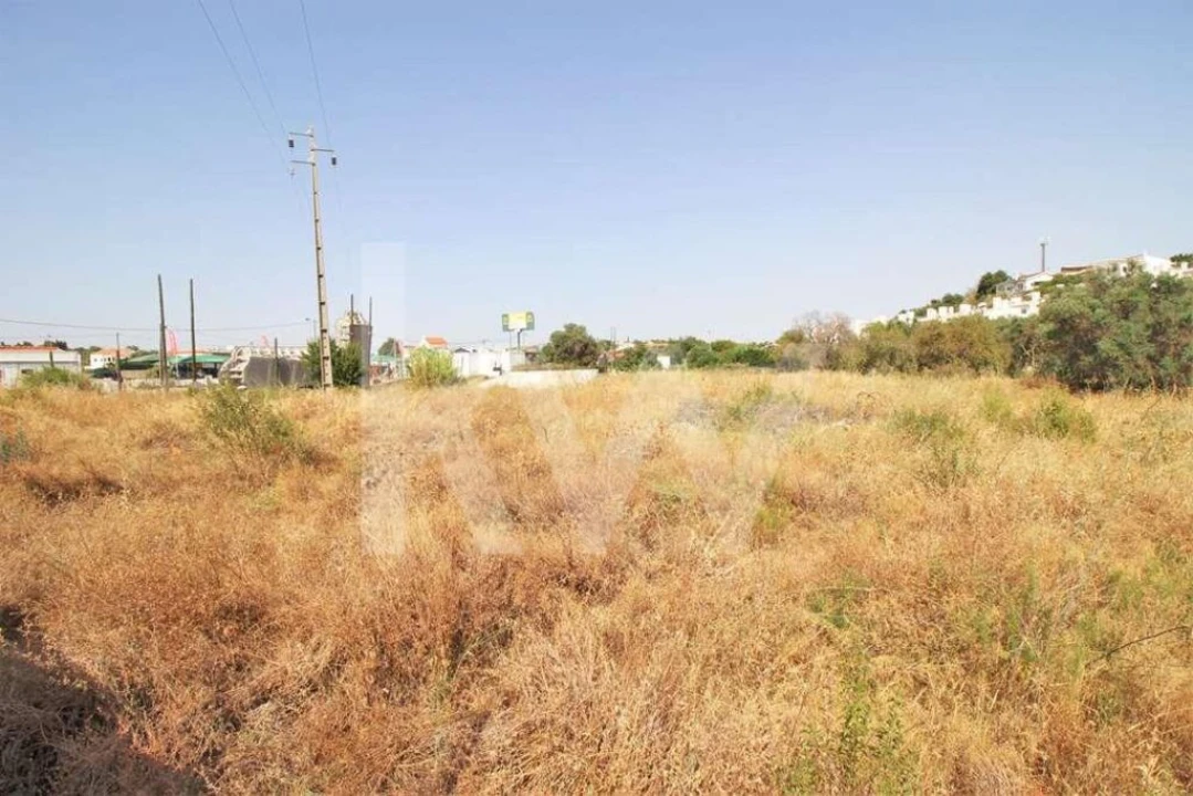 Terreno para Venda em Guia Foto 18