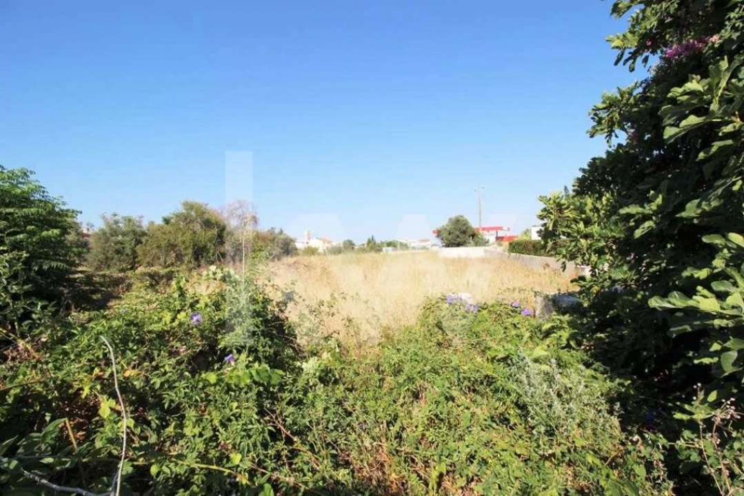 Terreno para Venda em Guia Foto 8