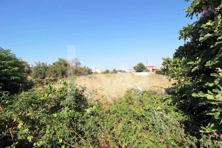 Terreno para Venda em Guia Foto 13