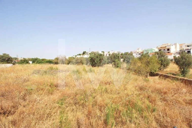 Terreno para Venda em Guia Foto 20