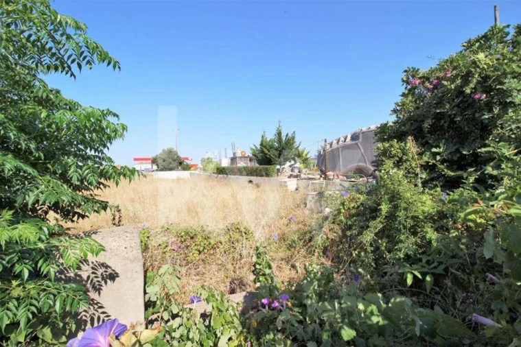 Terreno para Venda em Guia Foto 12