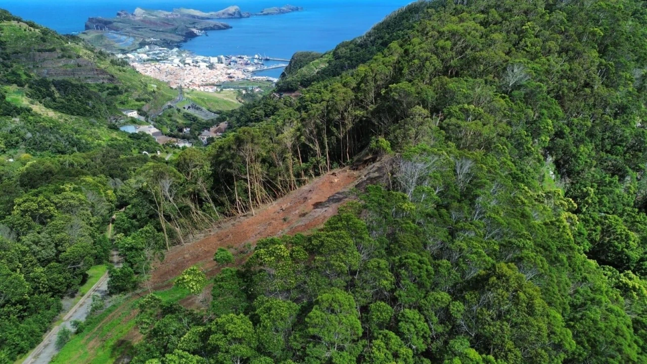 Terreno para Venda em Caniçal Foto 3