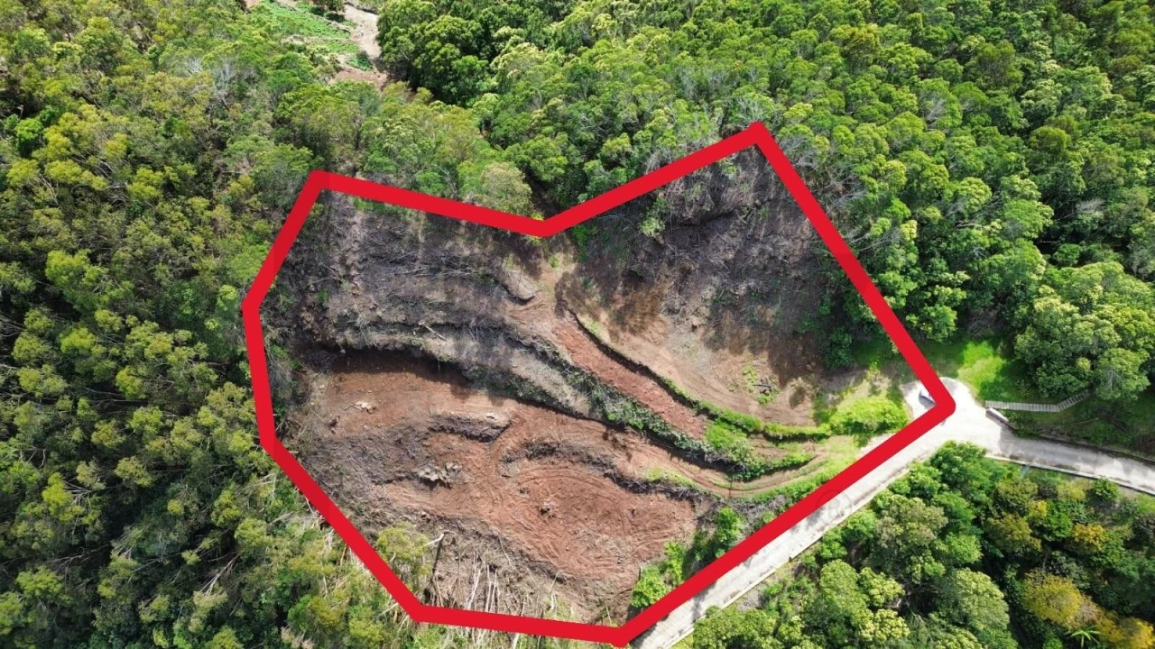 Terreno para Venda em Caniçal Foto 10