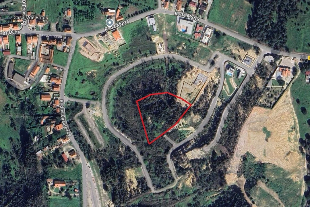 Terreno para Venda em Azambuja Foto 2