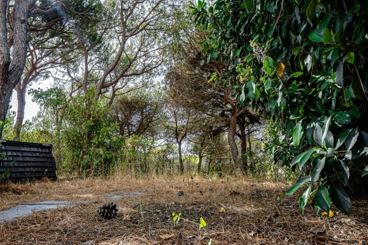 Moradia T3 para Venda em Castro Marim Foto 15