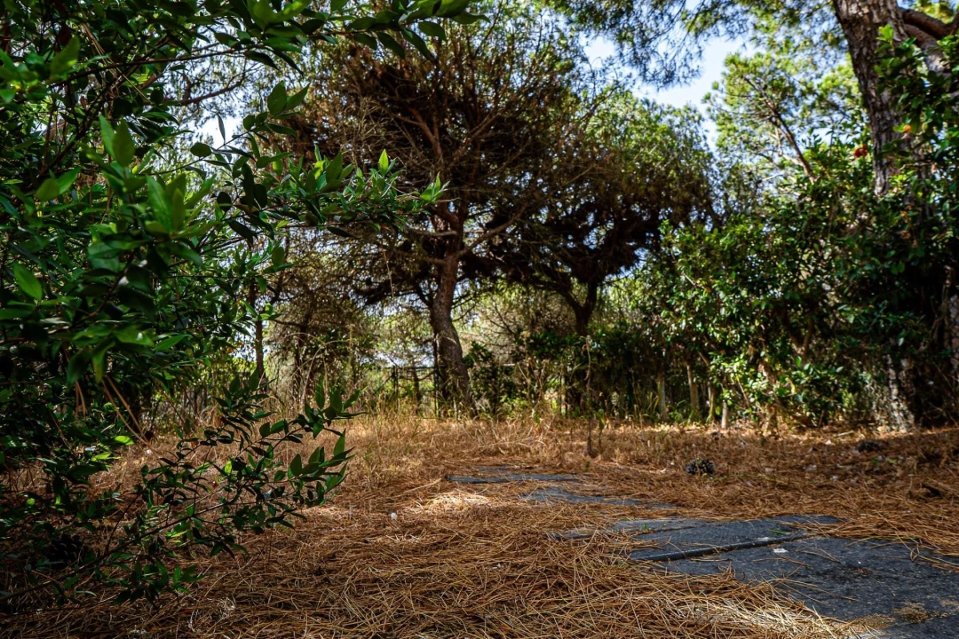 Moradia T3 para Venda em Castro Marim Foto 14